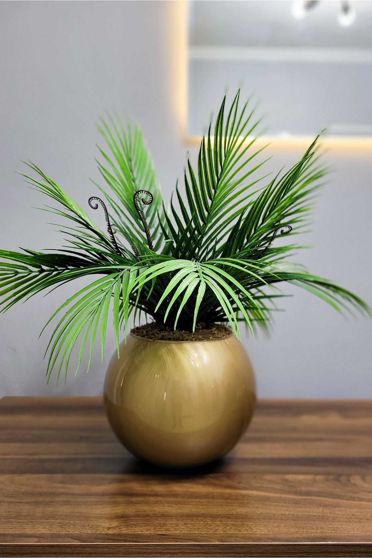 FilizKonuk Vazoda Yapay Çiçek Dekorasyon Masaüstü Gold Cam Vazoda Yeşil Palmiye Yaprakları Dekoratif Mimari