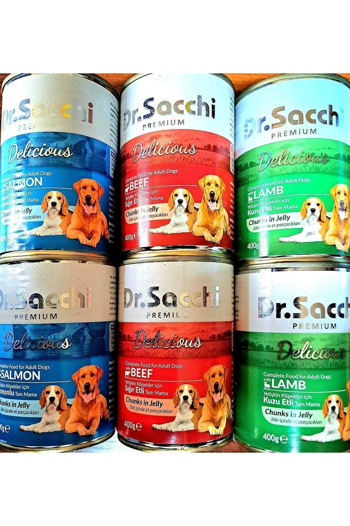 Dr. Sacchi Dr Sacchi Premium Köpek Yaş Mama 400gr*24 Adet