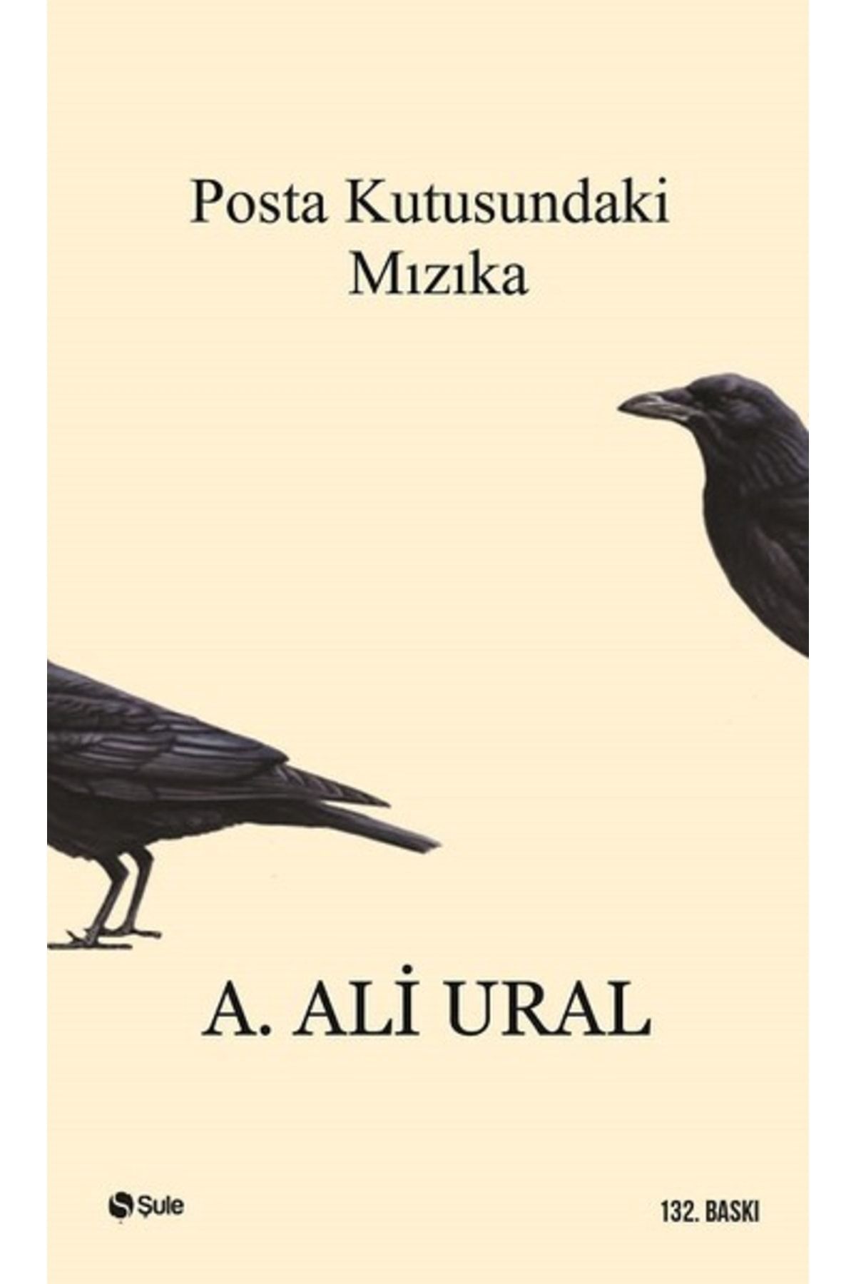 Şule Yayınları Posta Kutusundaki Mızıka / A. Ali Ural / / 9799756841357