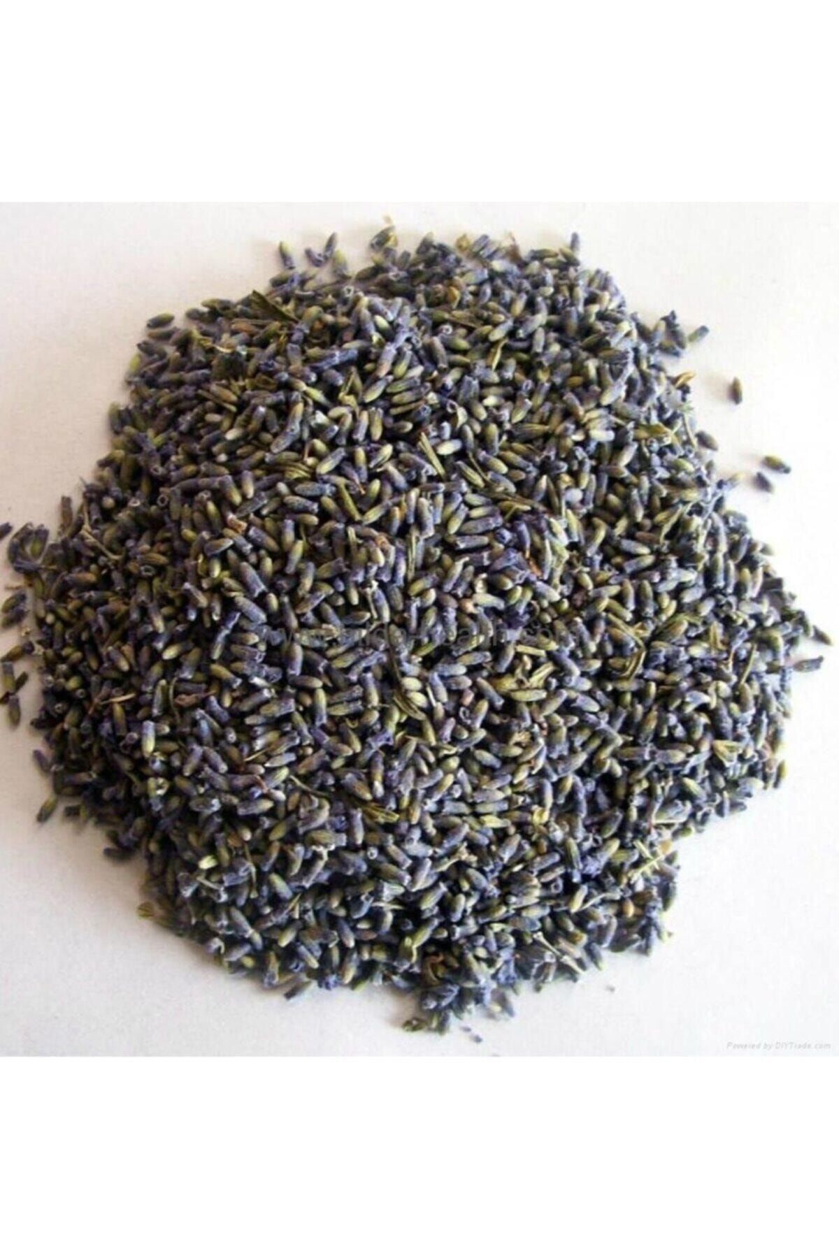 Jasmine Lavander Lavanta 50 Gr