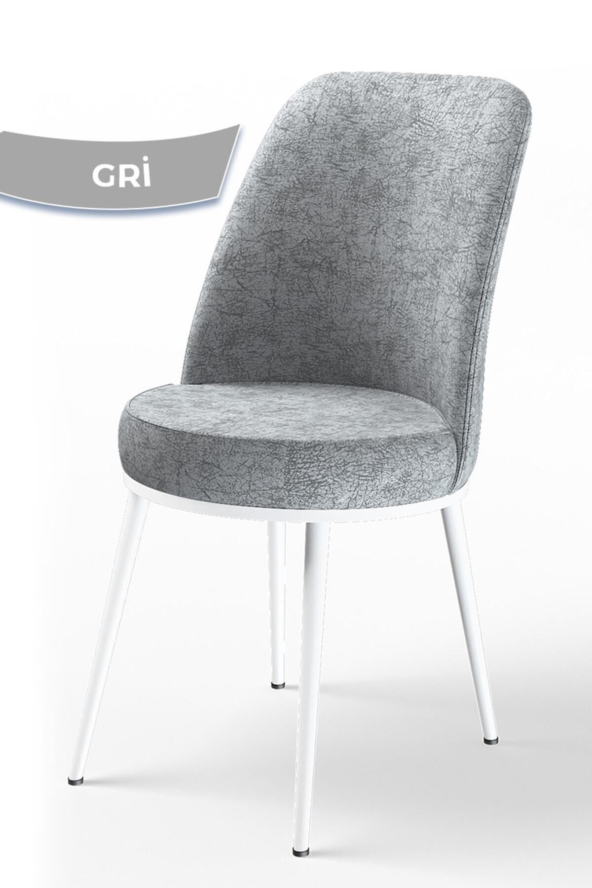 Canisa Concept Dexa Serisi Mutfak Sandalyesi, Gri Sandalye Ayaklar Beyaz