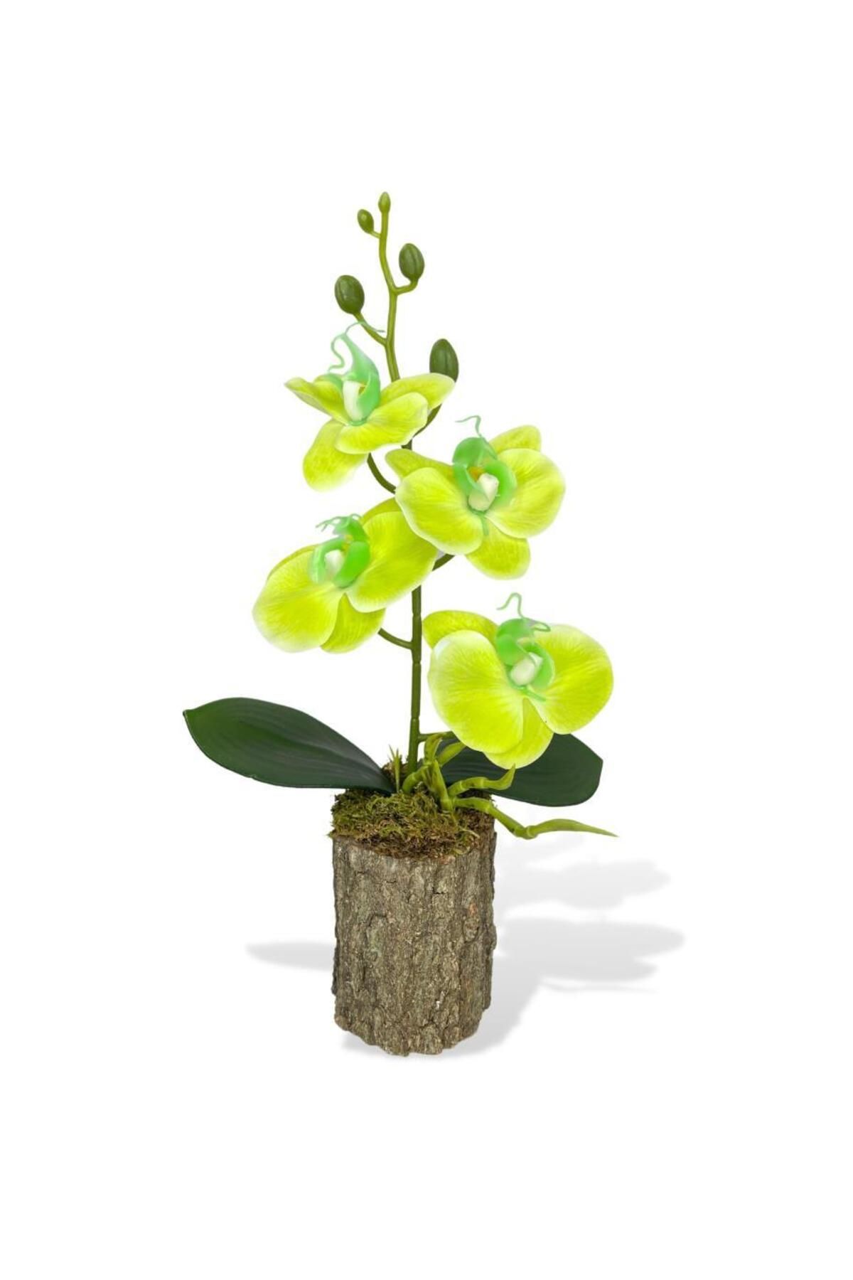 Nettenevime Yapay Çiçek Kütük Saksılı Islak Orkide Yeşil 35*15cm