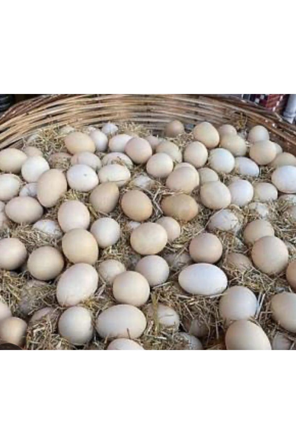 Butik Organik Köy Yumurtası