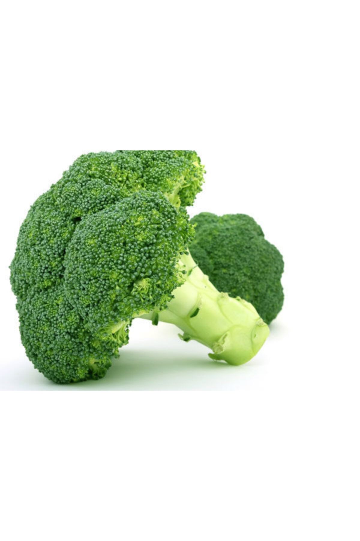 TROPİKAL Brokoli Tohumu - 50 Adet