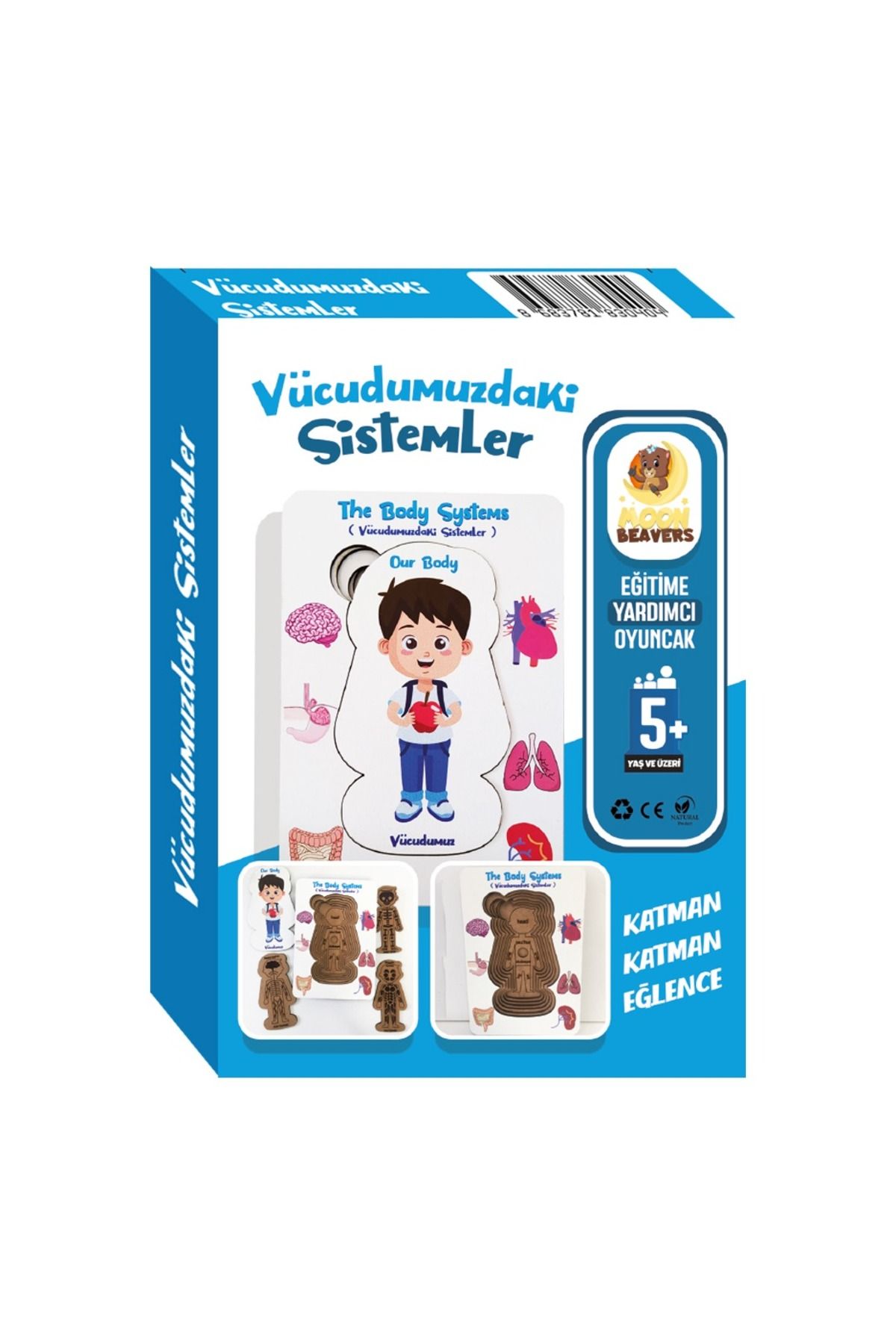 ihvanonline Vücudumuzdaki Sistemler Yapboz - İngilizce ve Türkçe - Erkek Çocuk Puzzle - 5 Yaş ve Üzeri Eğitime Y