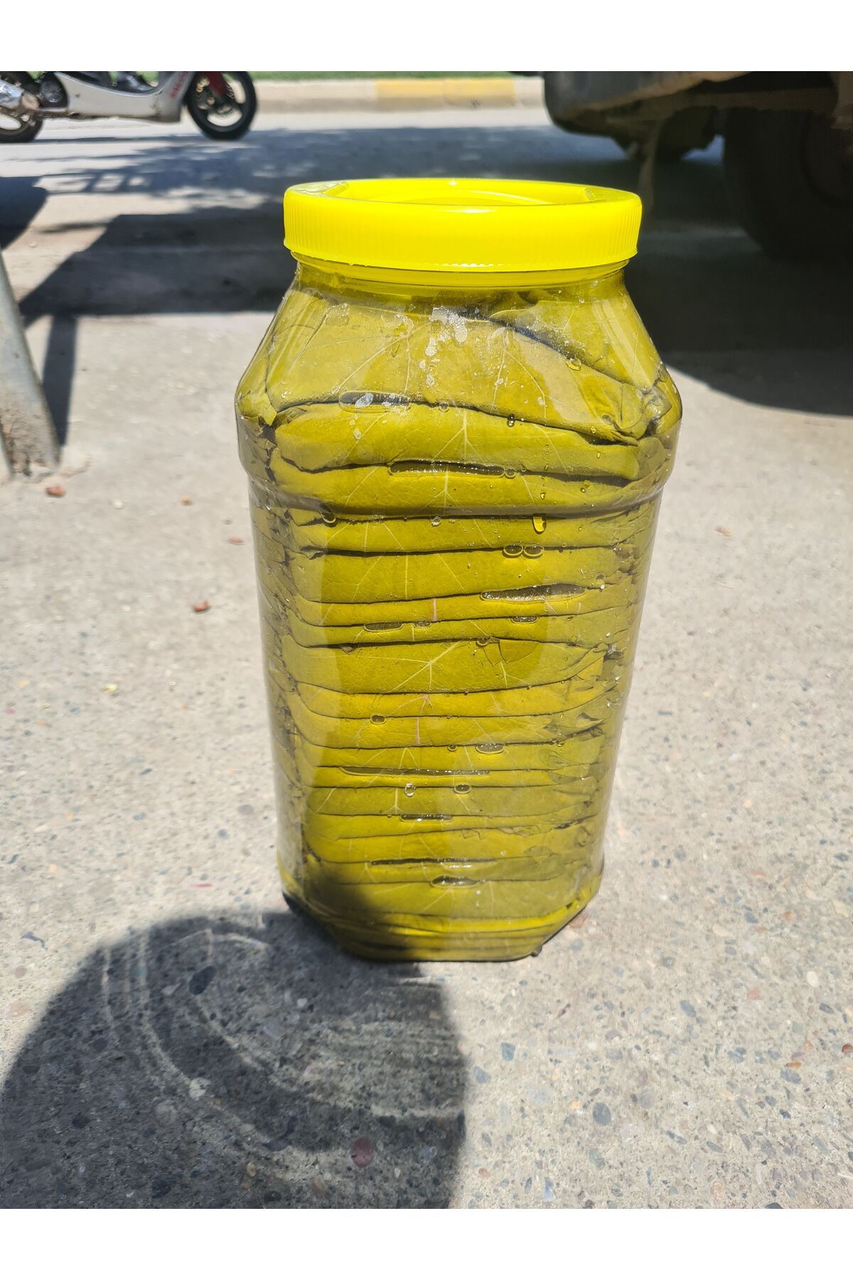 yöresel Tokat Erbaa Doğal Asma Üzüm Yaprağı Zeytinyağlık