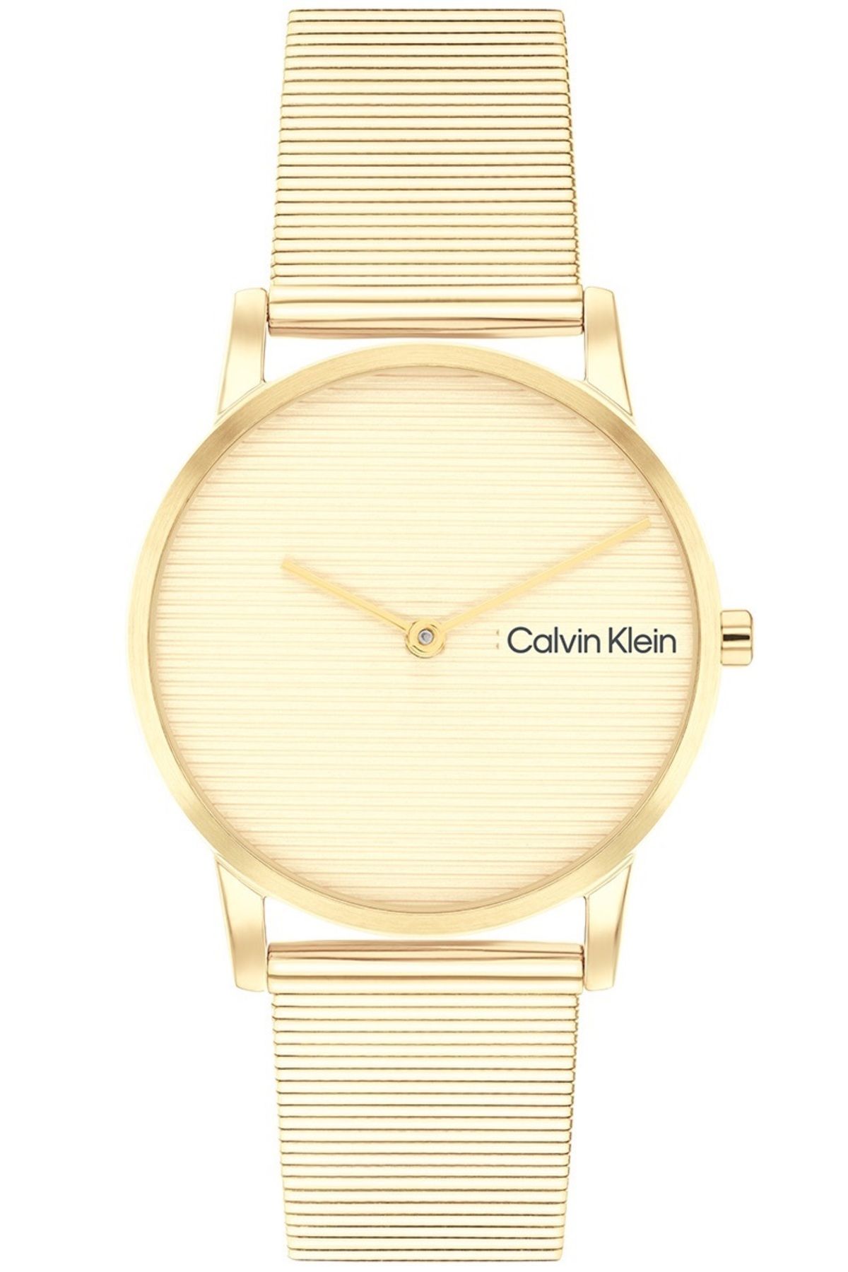 Calvin Klein Ck25100035 Kadın Kol Saati