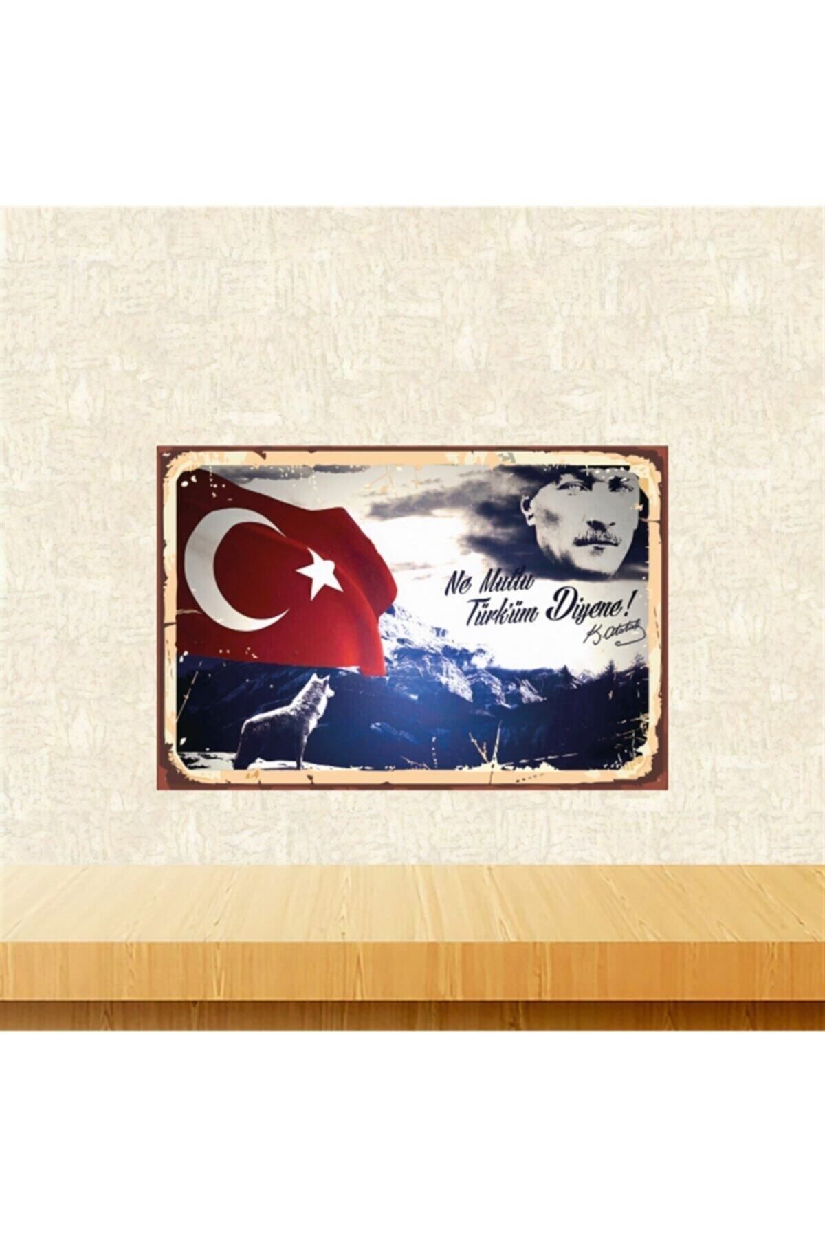 Home Ne Mutlu Türküm Diyene Atatürk Tasarımlı 20-30 cm Retro Ahşap Tablo Tkfx5514