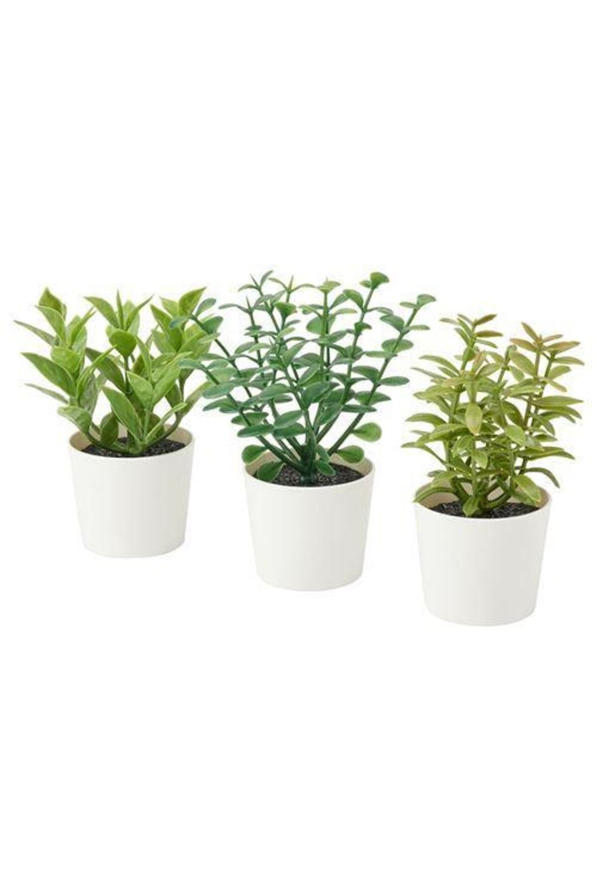 IKEA Saksılı Yapay Bitki 3 Lü , Yeşil 5 Cm Meridyendukkan Mini Çiçekler Yeşil Renk Dekorasyon
