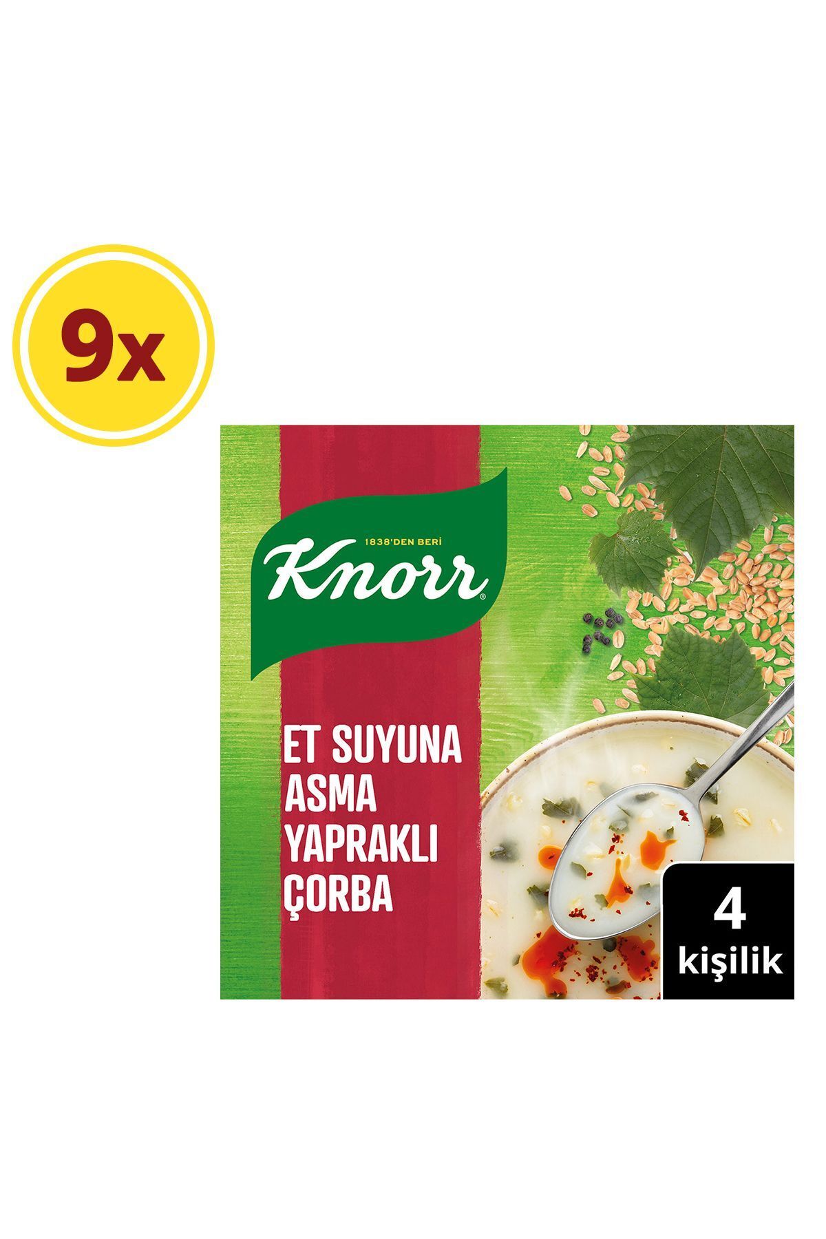Knorr Et Suyuna Asma Yapraklı Çorba 75g X9 Adet