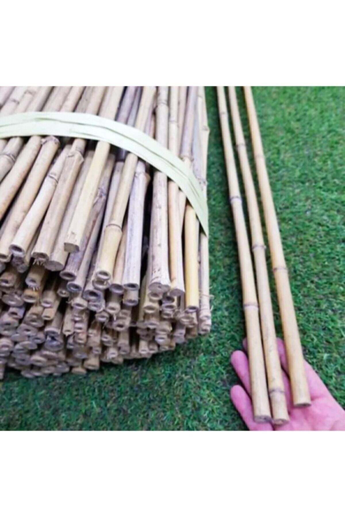 Akik Bambu Bitki Destek Çubuğu 180 Cm (5 Adet)