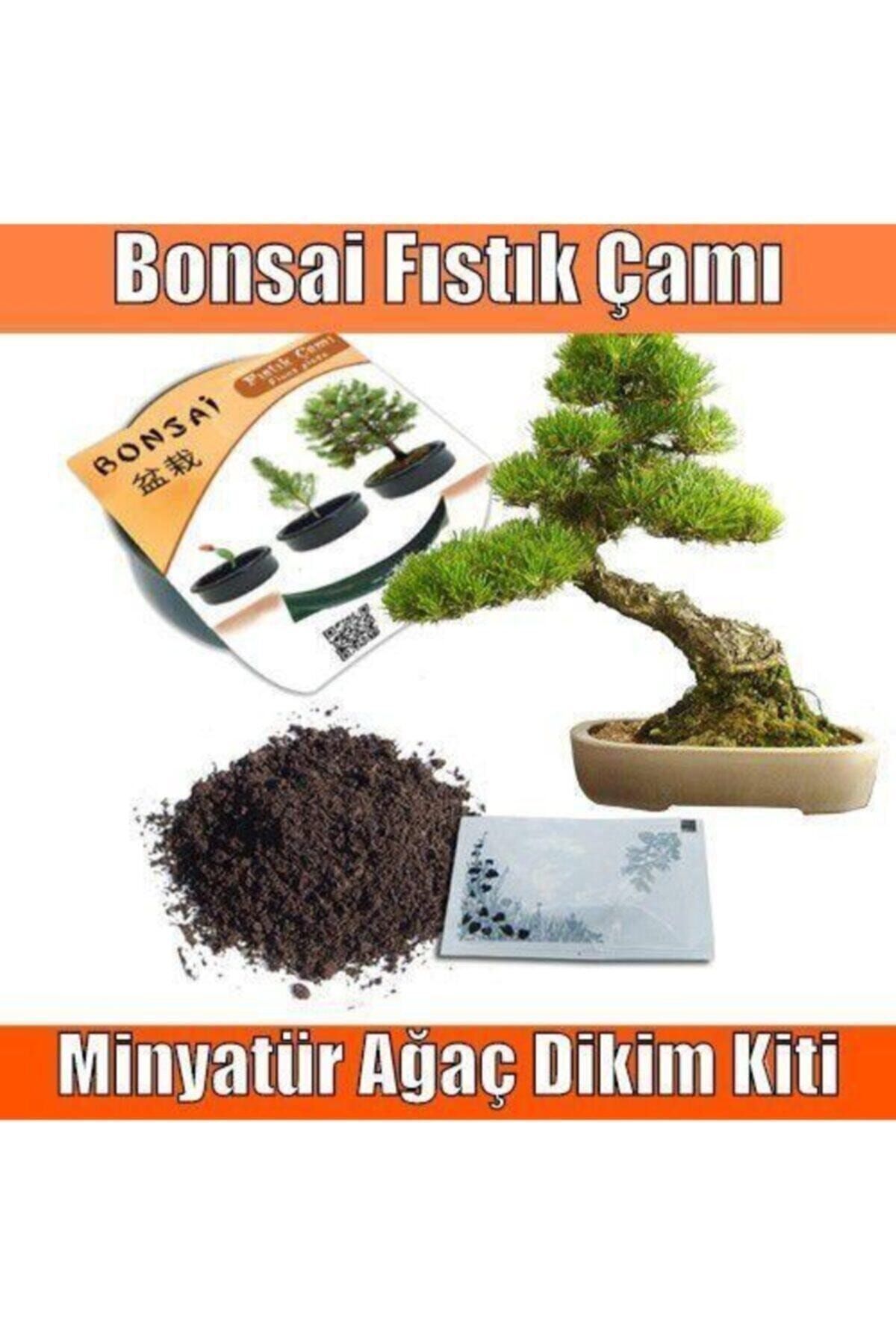 Biomak Bonsai Fıstık Çamı Ekim Ekipmanları Kolay Kullanım