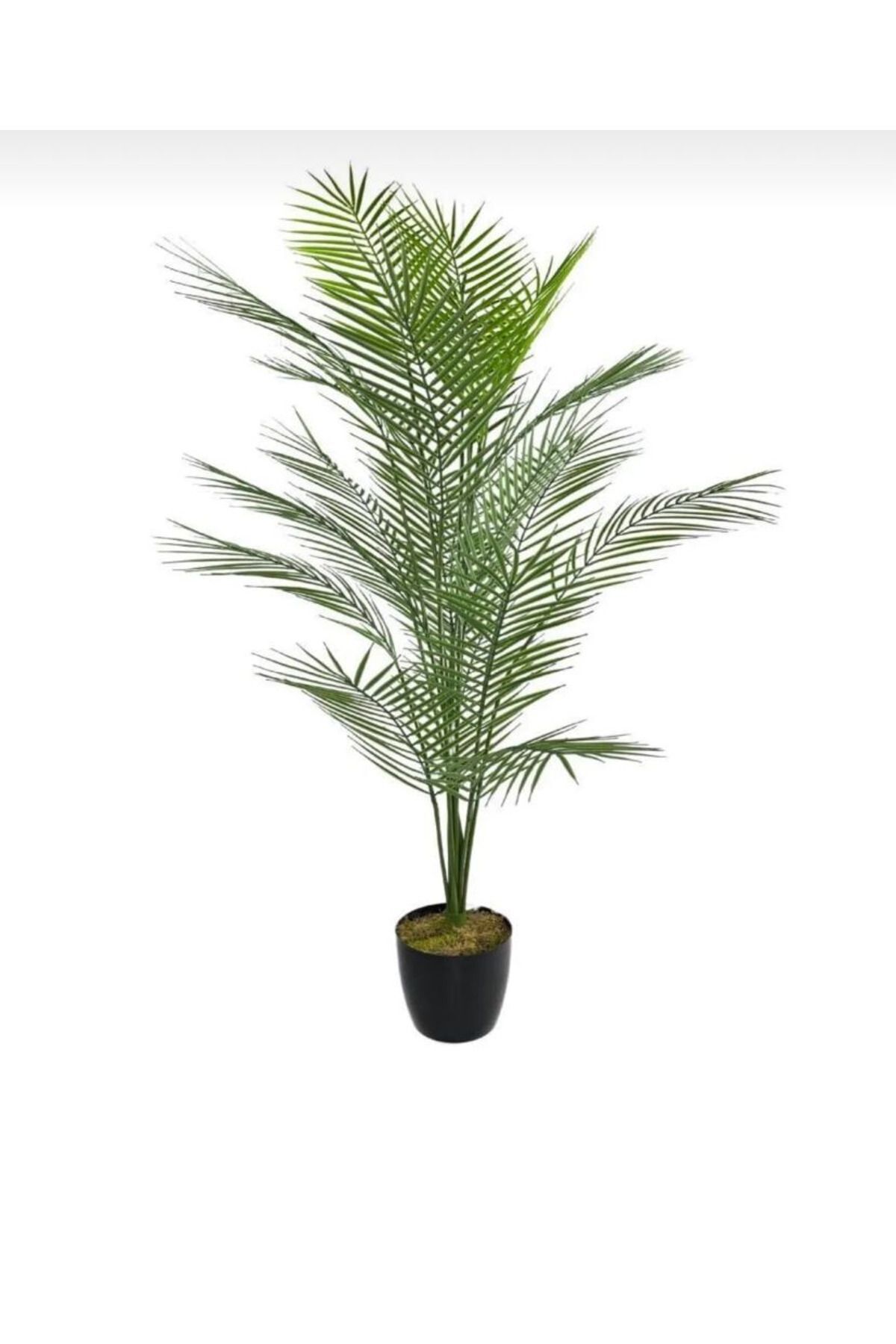 VEAL STORE 130 Cm 12 Dallı 20 Yapraklı Yapay Ağaç Areka Ağacı Palmiye Ağacı 130cm 20 Yapraklı