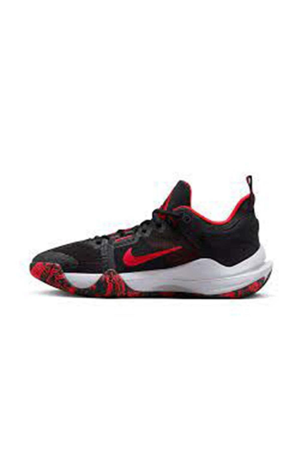Nike Dm0825-005 Giannis Immortality 2 Basketbol Ayakkabısı