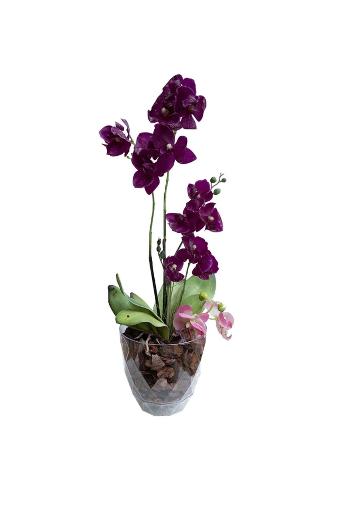 Genel Markalar Yakamoz Orkide Saksı No 3 KRS-463