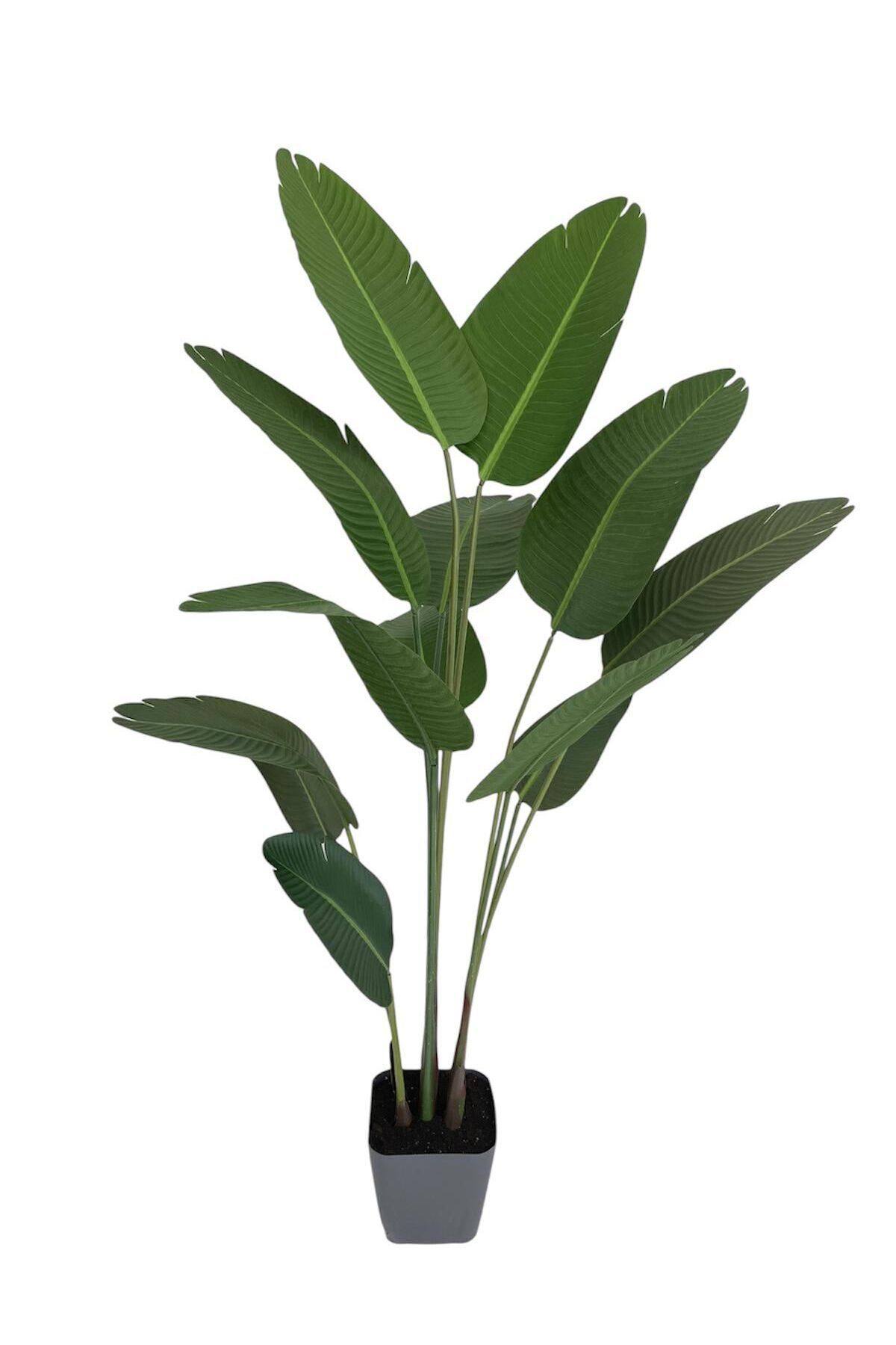 VEAL STORE Yapay Starliçe Ağacı 170 cm 10 Yaprak Büyük Yaprak 1. Kalite
