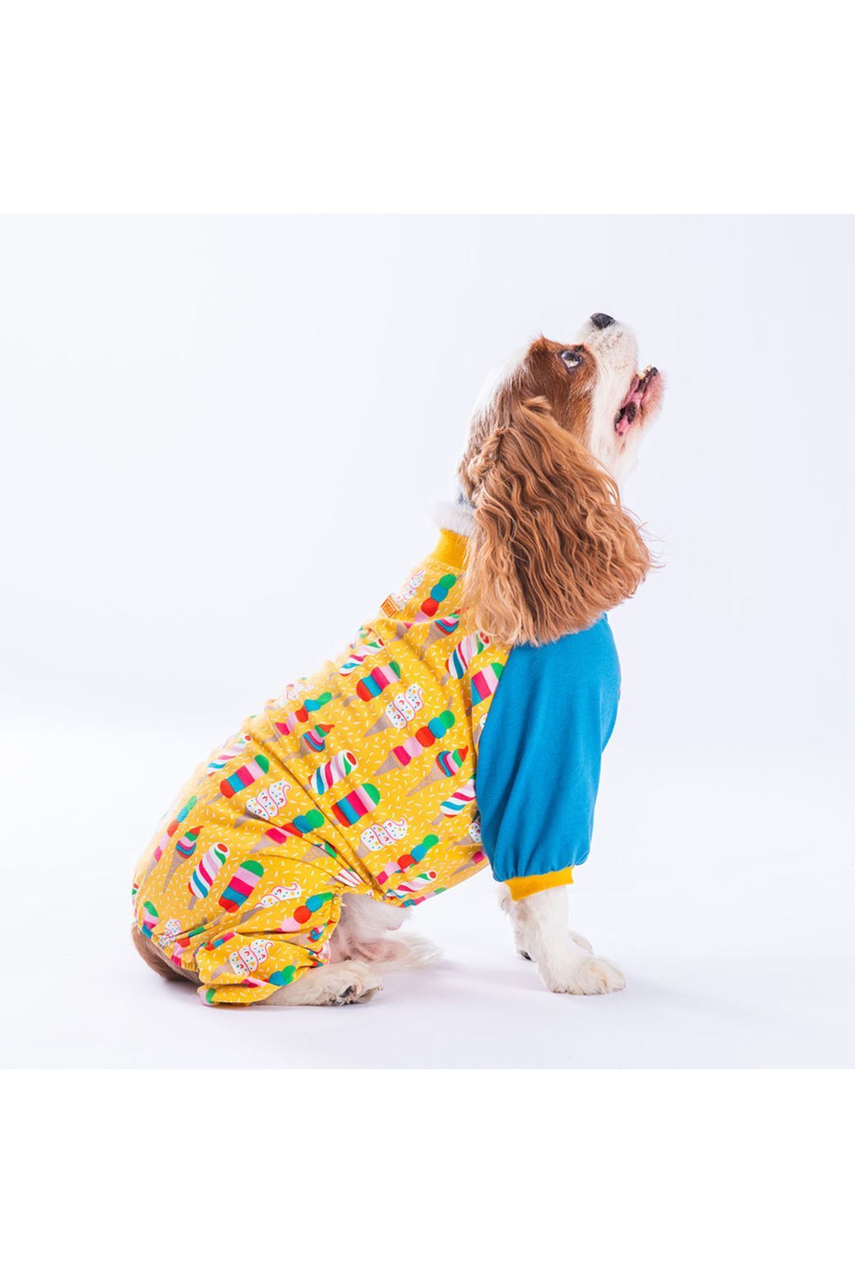 Pawstar Ice Cream Kedi Köpek Pijaması Kedi Köpek Tulumu Kedi Köpek Kıyafeti