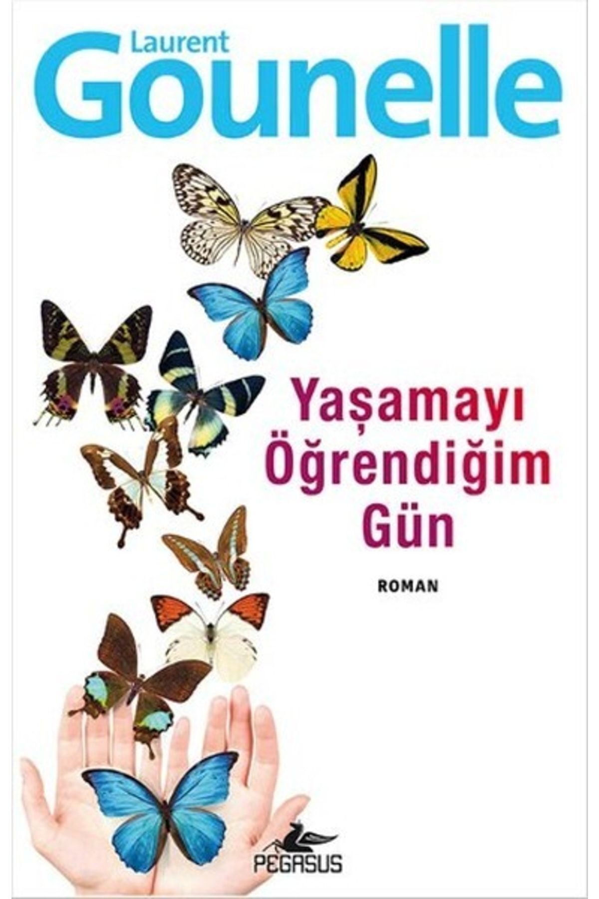 Pegasus Yayınları Yaşamayı Öğrendiğim Gün