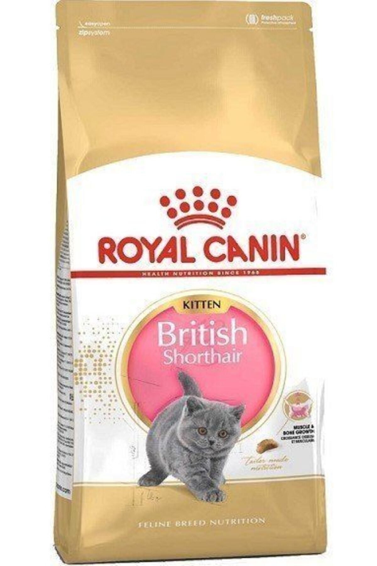 Royal Canin British Shorthair Kitten Yavru Kedi Maması 2 Kg