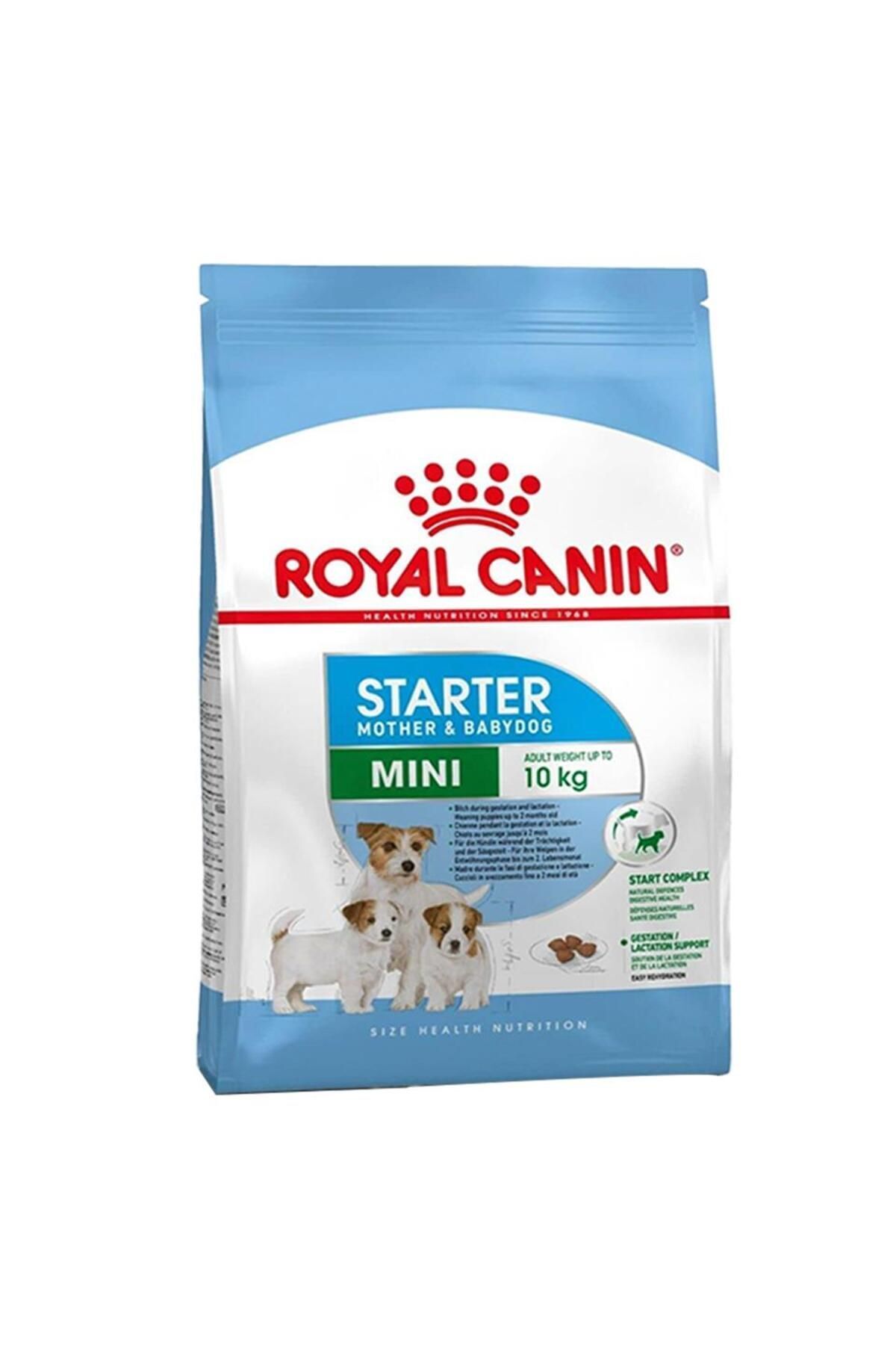 Royal Canin Dog Shn Mini Starter Mother/babydog Köpek Maması 4 Kg