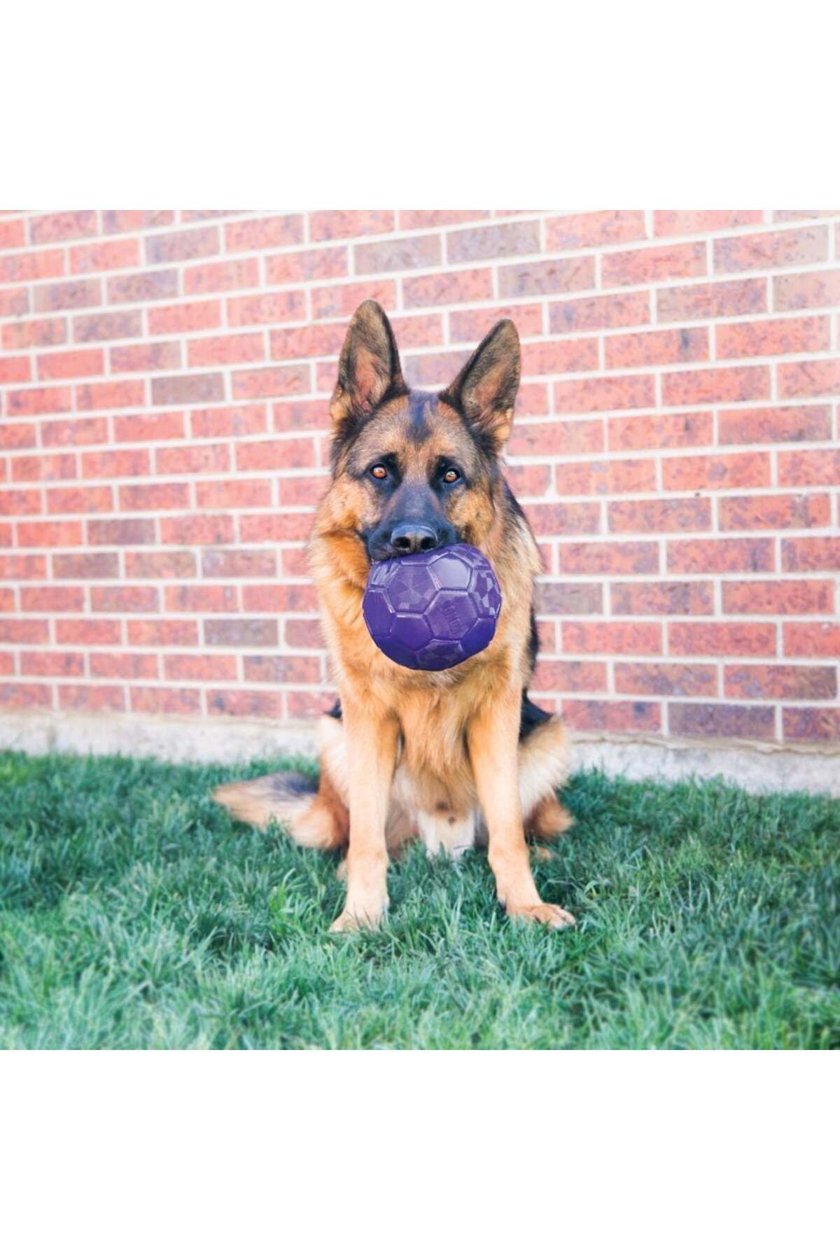 Kong Köpek Flexball Medium/large Köpek Oyun Topu - 035585363196