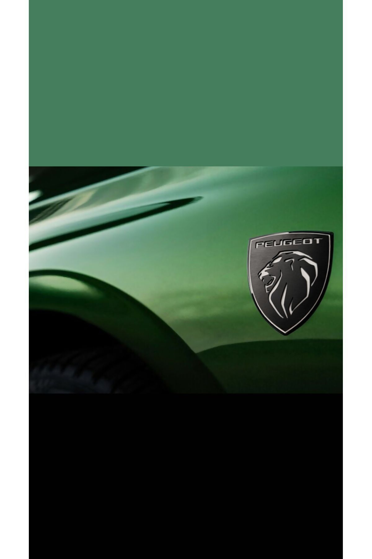 Edesign Peugeot Yeni Aslan 3d Logo Çamurluk&arka&yan&kapı Içi