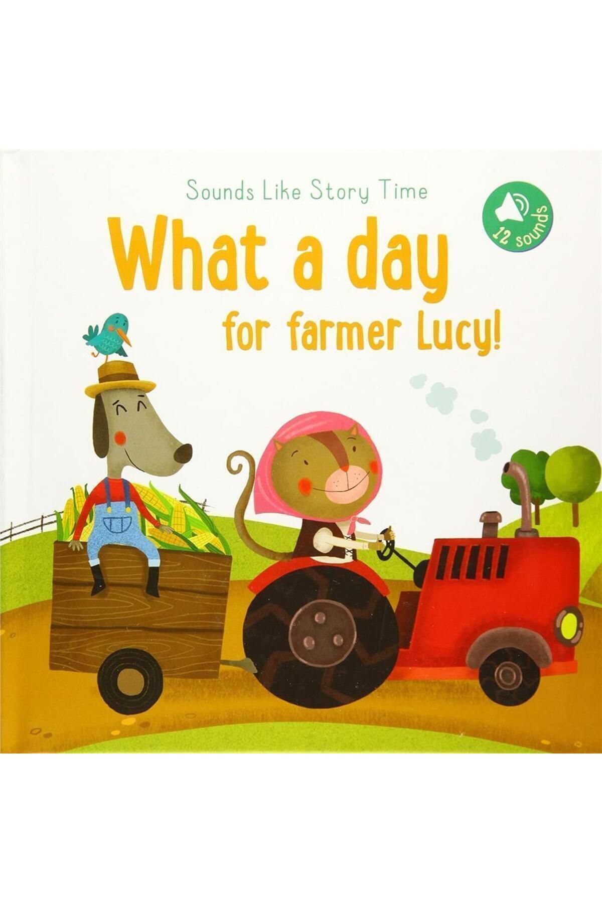 Yoyo Books Sounds Like Storytime: What A Day For Farmer Lucy!