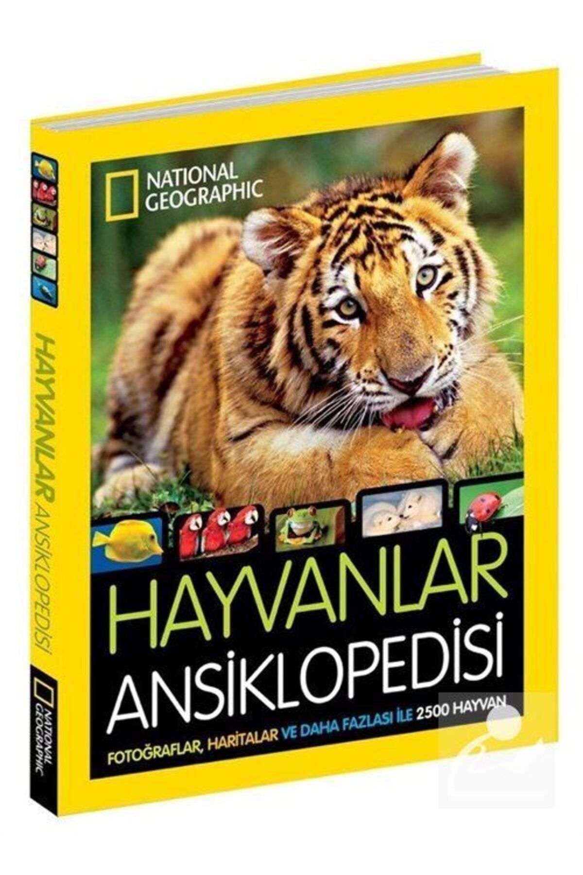 Beta Yayınları National Geographıc Kids Hayvanlar Ansiklopedisi