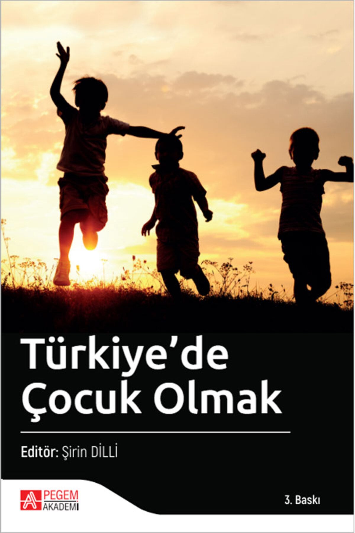 Pegem Akademi Yayıncılık Türkiye'de Çocuk Olmak / Kolektif / Pegem Akademi Yayıncılık / 9786257880374