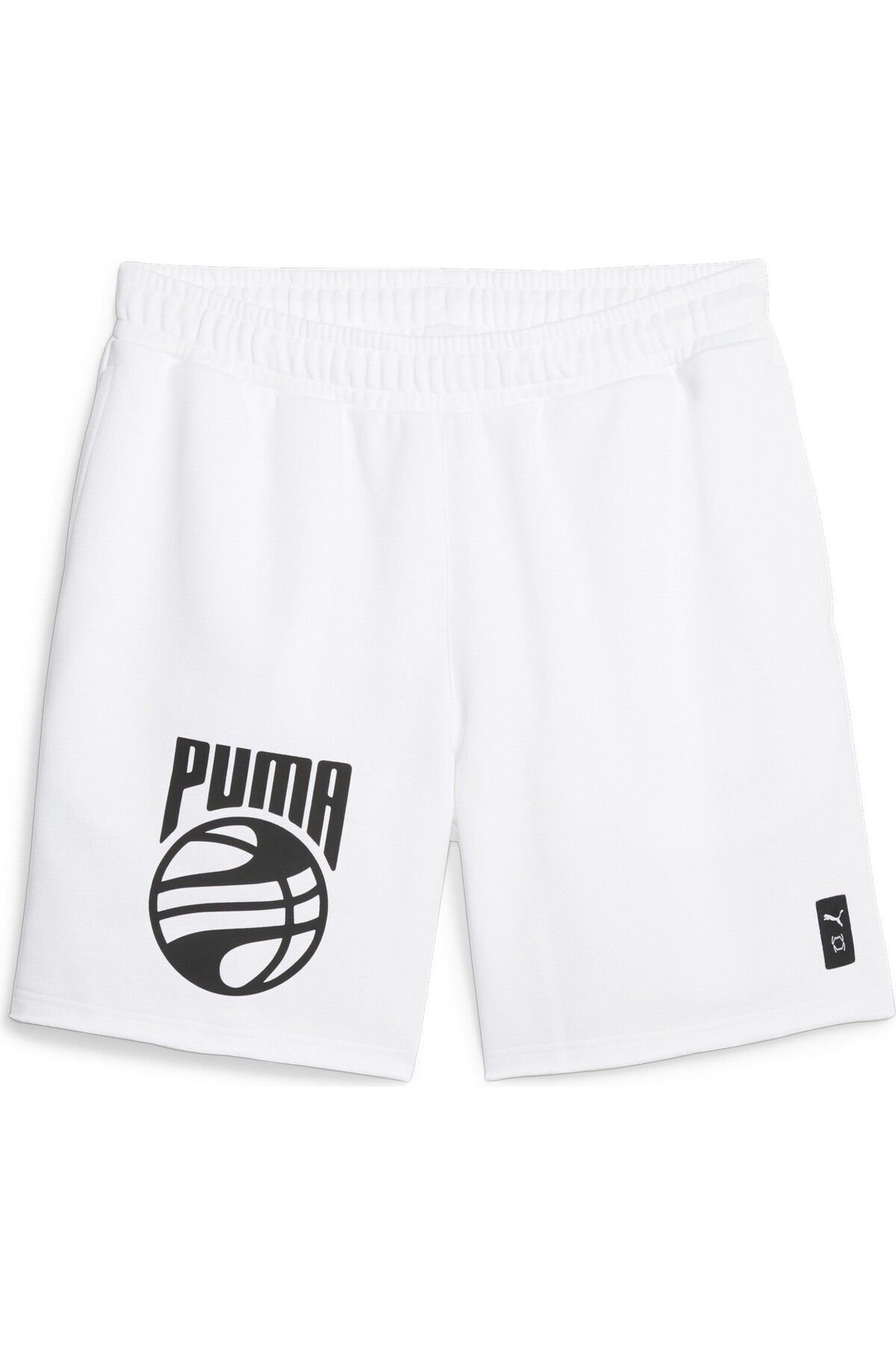 Puma Posterize Erkek Şort 53876511