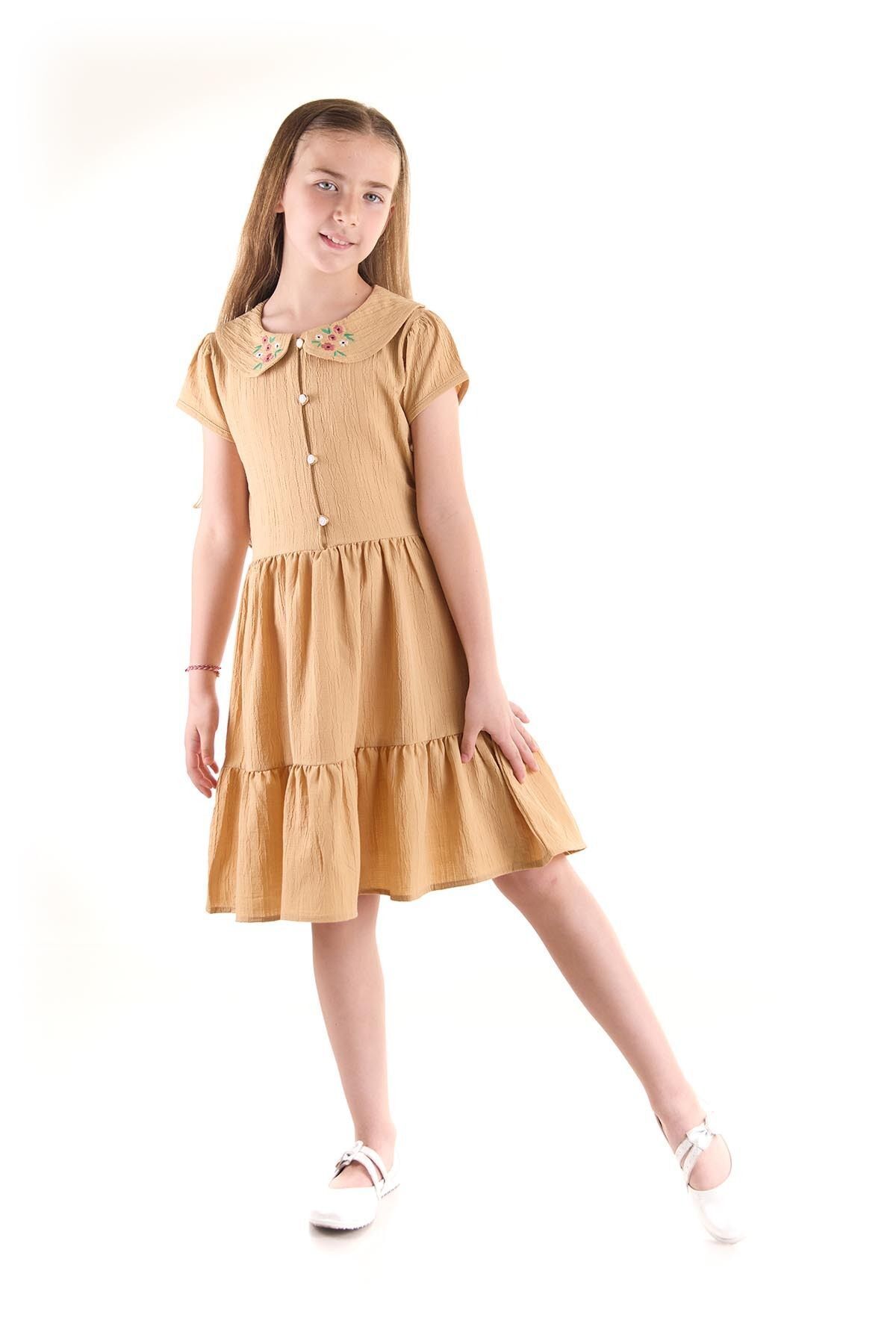 AHENGİM Kız Çocuk Düğmeli Yaka Nakışlı Elbise Trend Pamuklu Pamuklu Ak2523