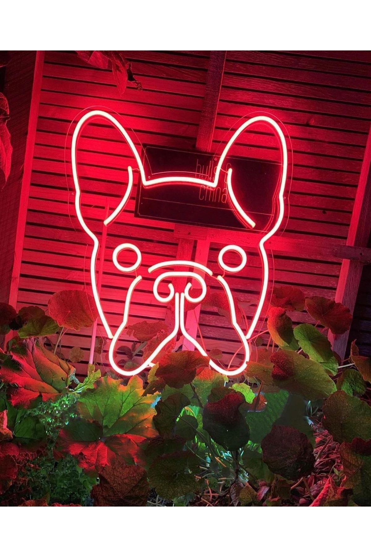Neon Led Köpek Figürü