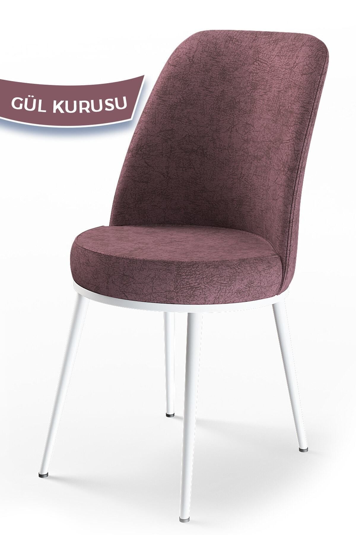 Canisa Concept Dexa Serisi Gül Kurusu Renk Sandalye Mutfak Sandalyesi, Yemek Sandalyesi Ayaklar Beyaz
