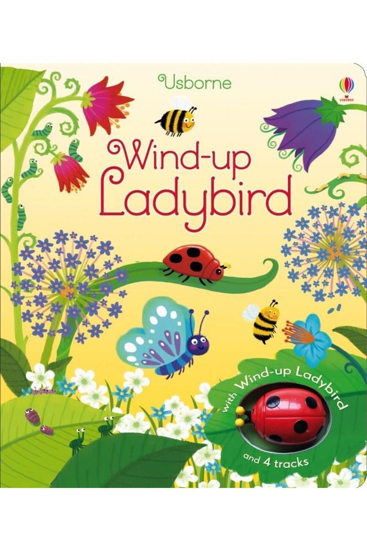 Usborne Wind-up: Ladybird