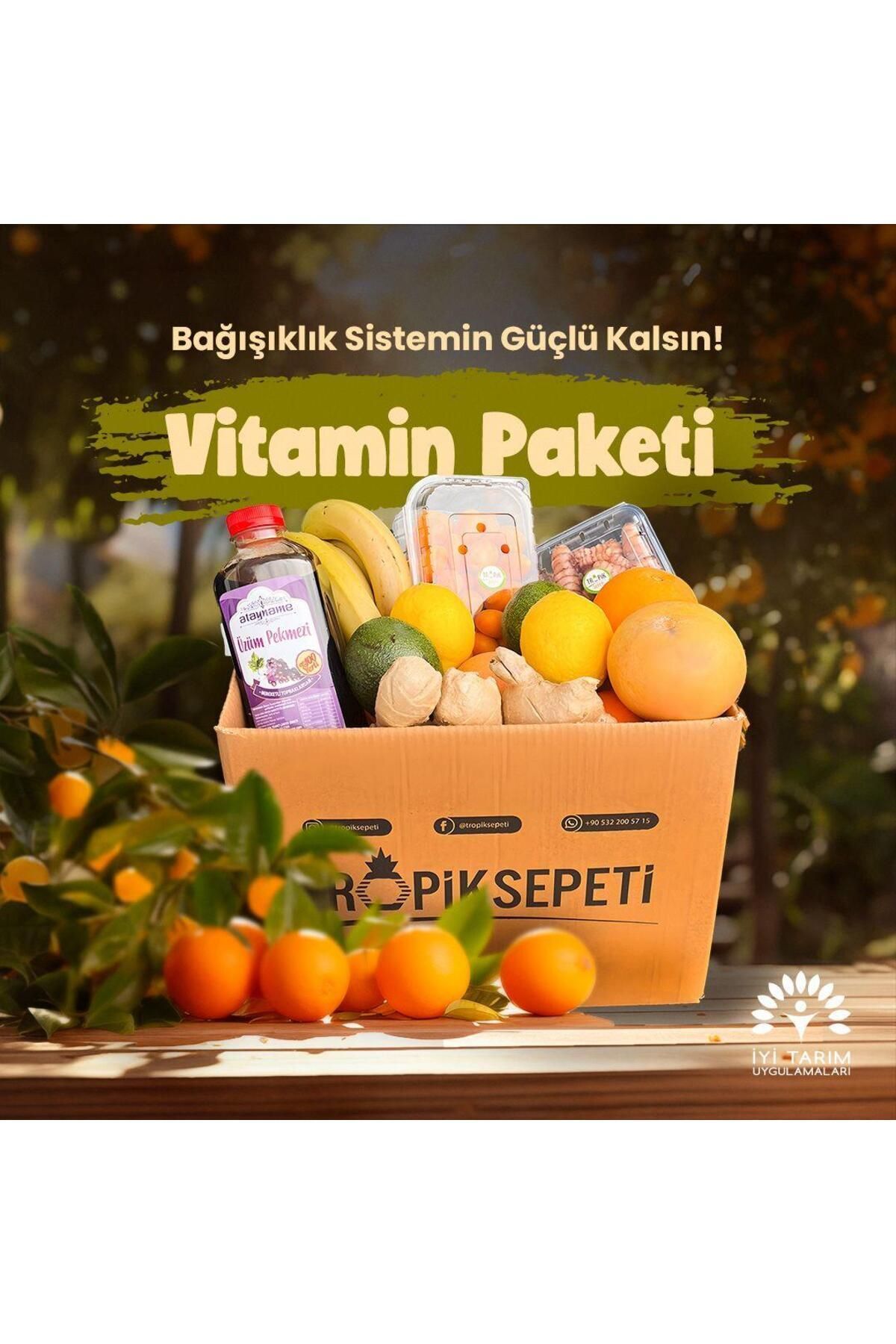 TROPİK SEPETİ Vitamin Paketi