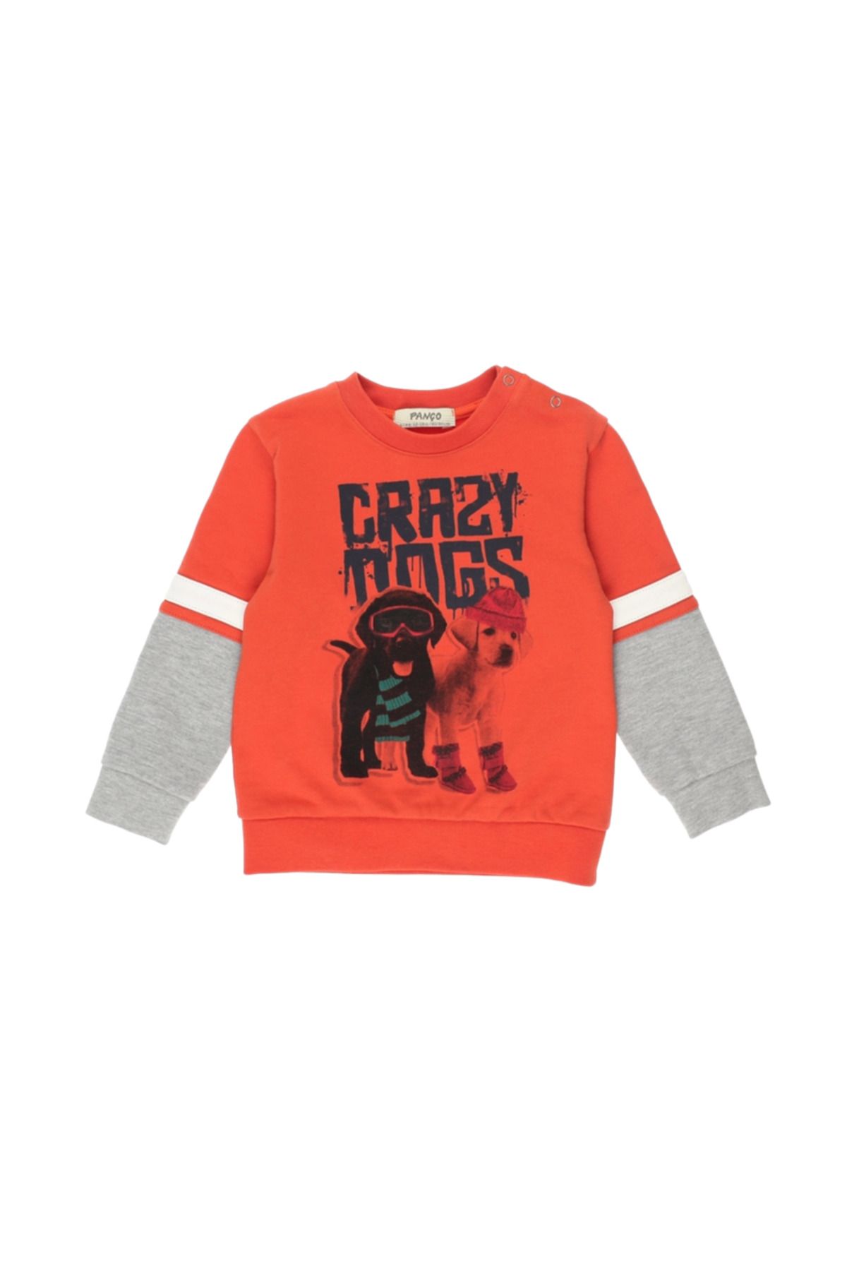 Panço Erkek Bebek Blok Renk Şeritli Baskı Detaylı Sweatshirt