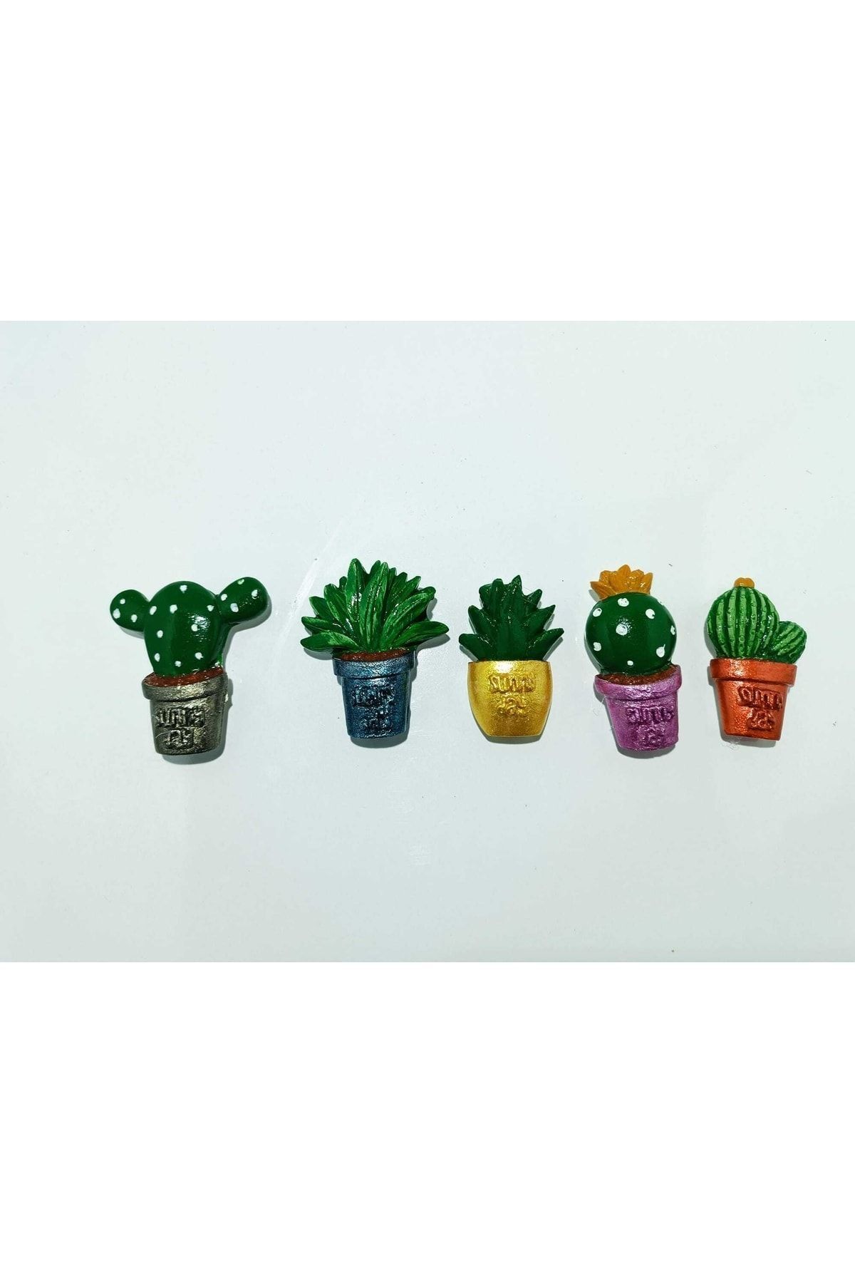 modtasarım Magnet Kaktüs Set 5 Adet
