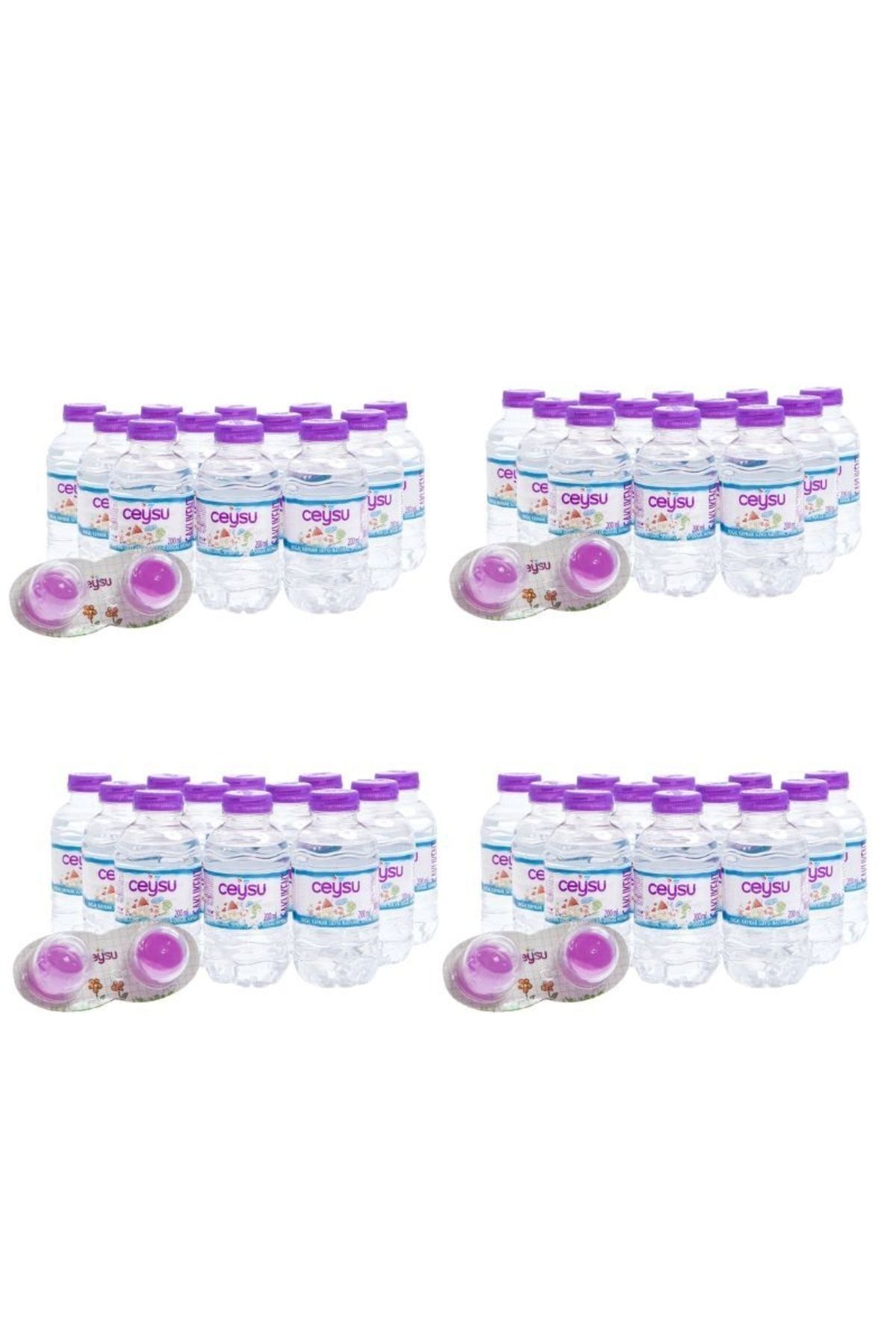 Ceysu Bebek Suyu 48x200 Ml (4 Paket)