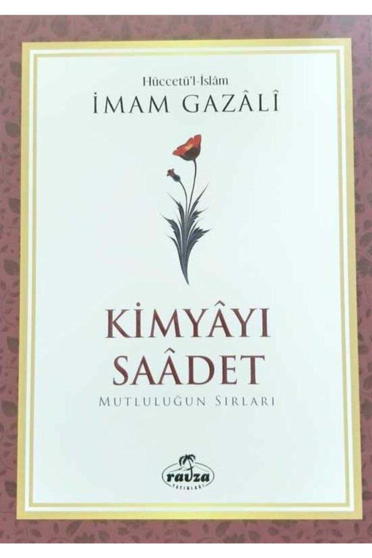 Ravza Yayınları Kimyayı Saadet "mutluluğun Sırları" (roman Boy, Karton Kapak)