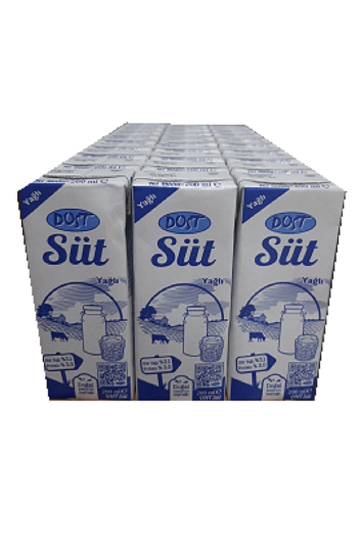 Dost SÜT 200 ML SADE 27 Lİ PAKET