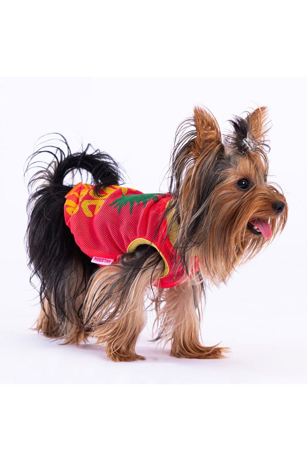 Pawstar Pineapple Mesh Kedi Köpek Tişörtü - Kedi Köpek Kıyafeti