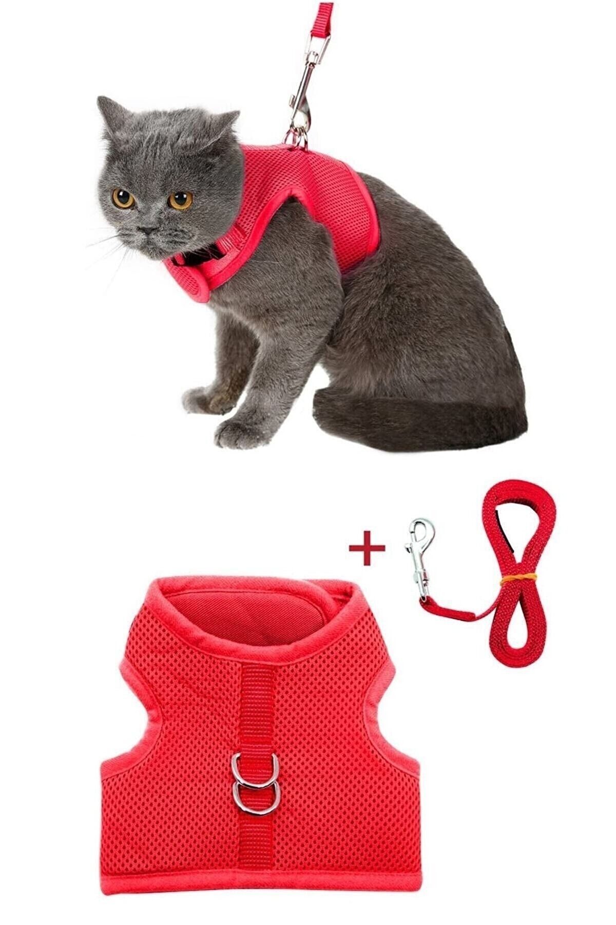 nefertiti cosmetic File Yeni Nesil Nefes Alabilen Kedi Göğüs Tasma 2'li Set Kırmızı