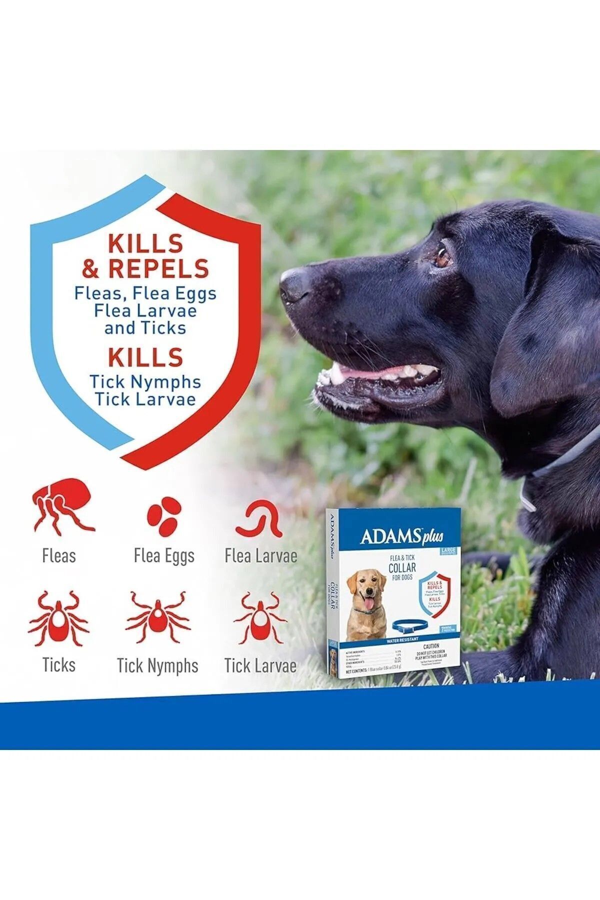 Adams Köpek İçin Pire Tasması Sinek Bit Pire Büyük Küçük Irk 7 Ay Etkili Dog Flea & Tick Collar