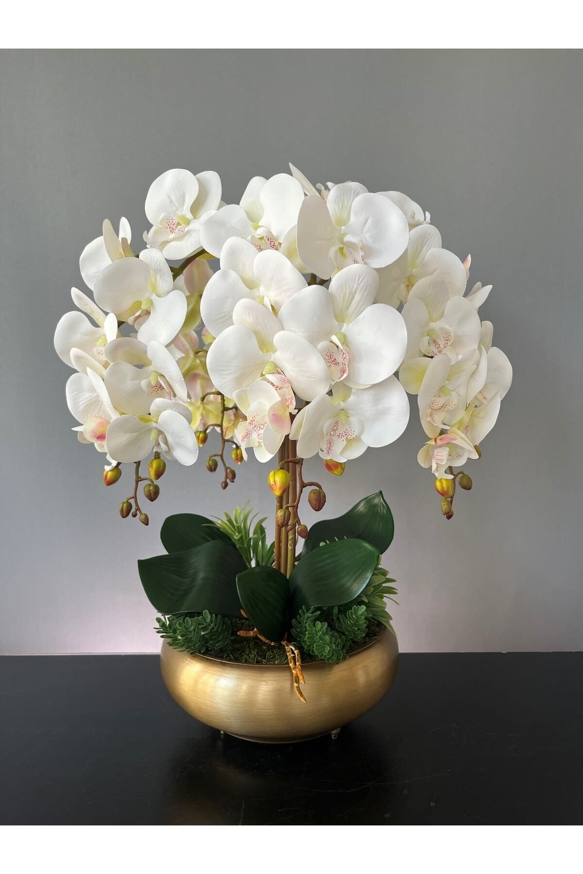 LİLOTEHOME Yapay Islak Orkide 4 Dal Beyaz Aranjman Ufo Eskitme Mat Gold Saksıda