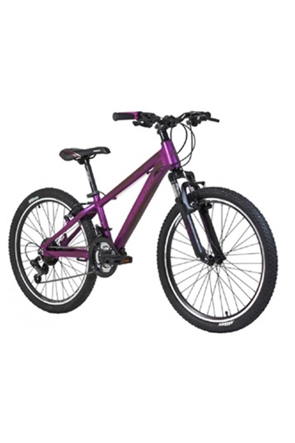 Carrera 2664 M6-2000-l-kadın Dağ Bisikleti 357h V 26 Jant 21 Vites Purple Purple