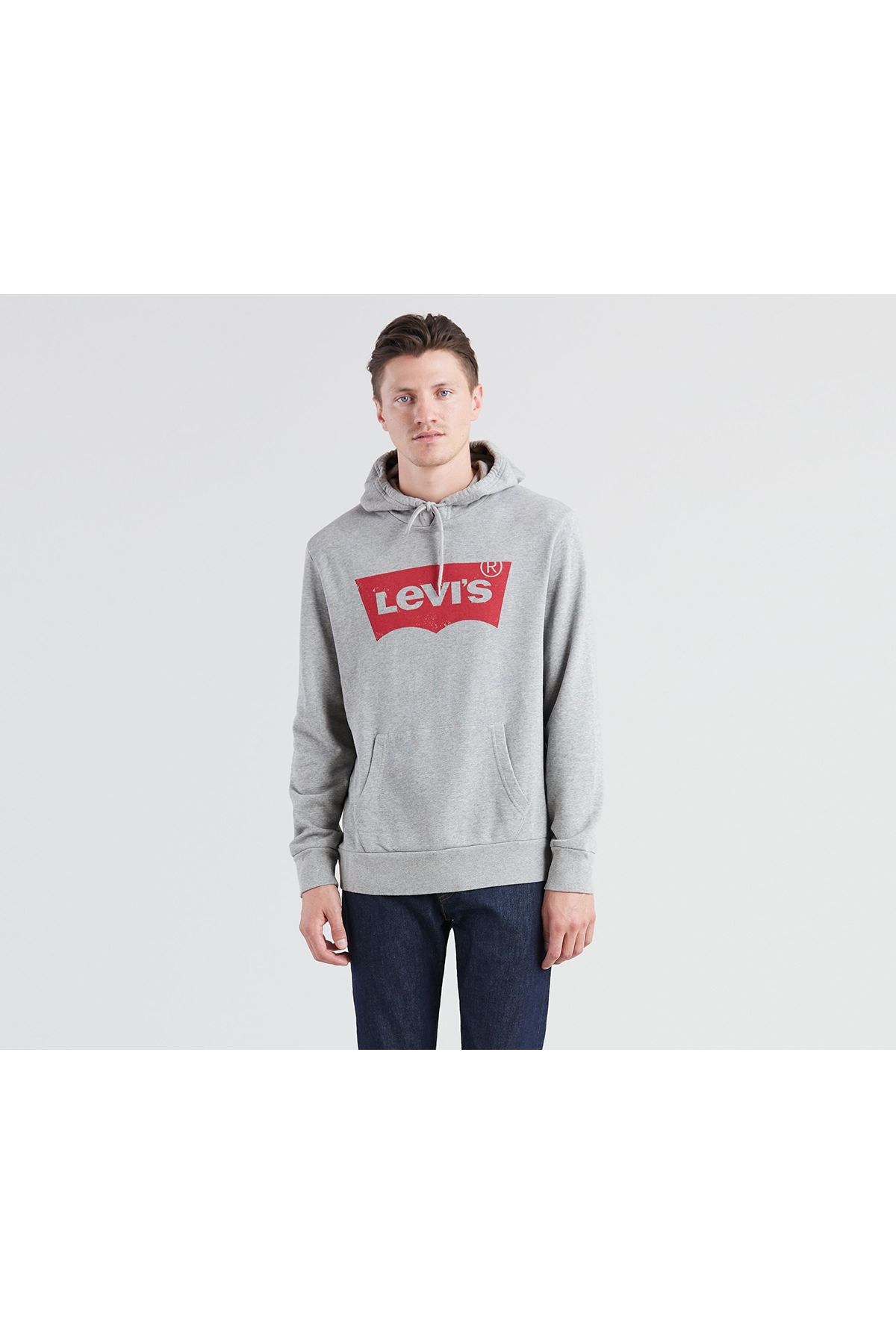 Levi's Standard Graphic Hoodie