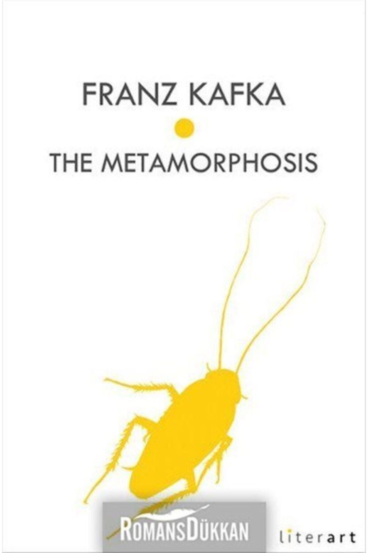 Literart Yayınları The Metamorphosıs - Franz Kafka - Franz Kafka