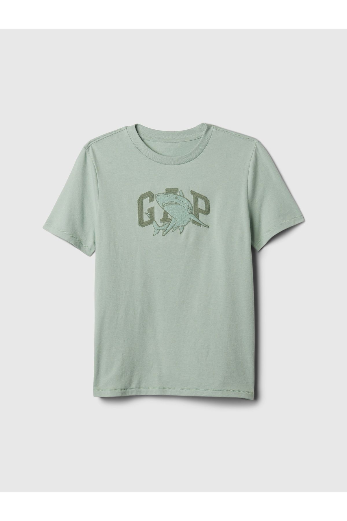 GAP Erkek Çocuk Yeşil Gap Logo T-Shirt