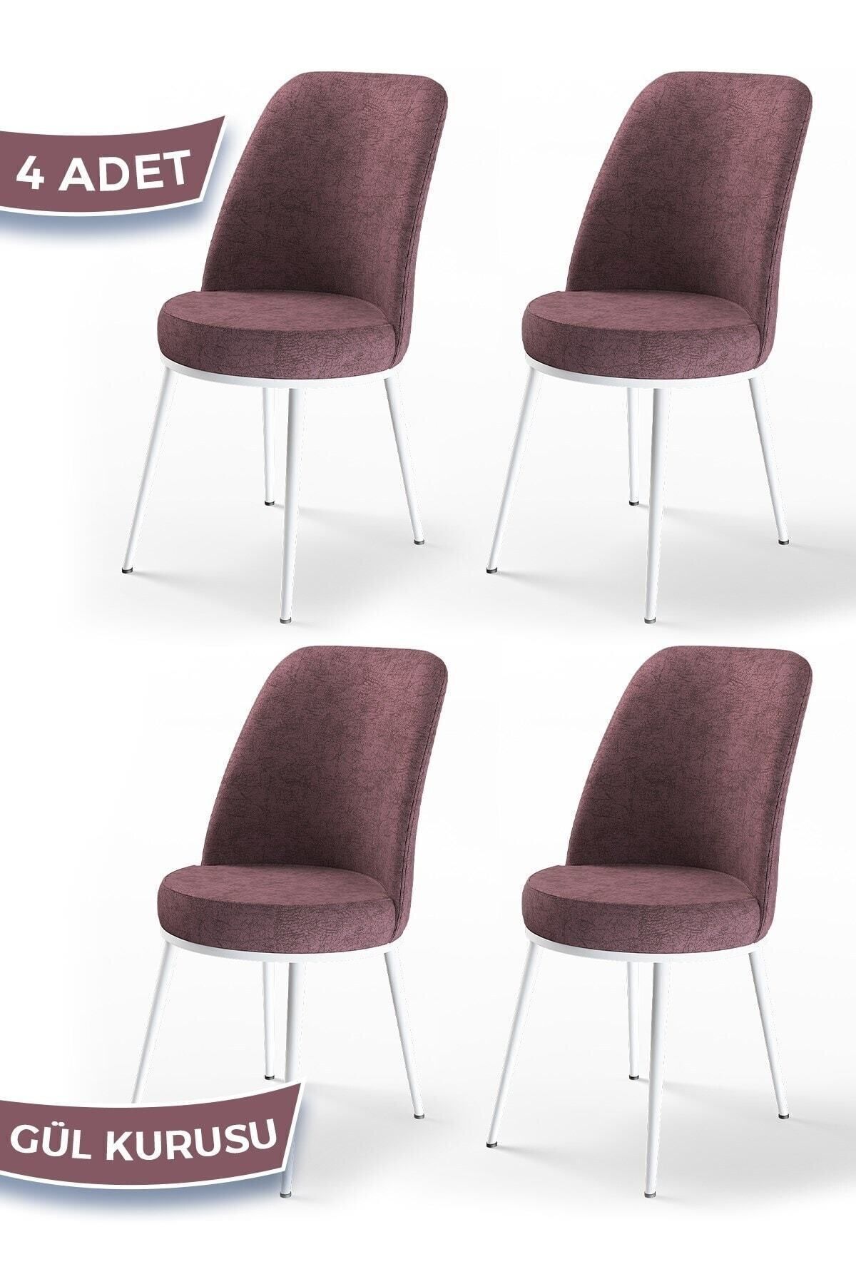 Canisa Concept Dexa Serisi, Üst Kalite Yemek Odası Sandalyesi, Metal Beyaz Iskeletli, 4 Adet Gülkurusu
