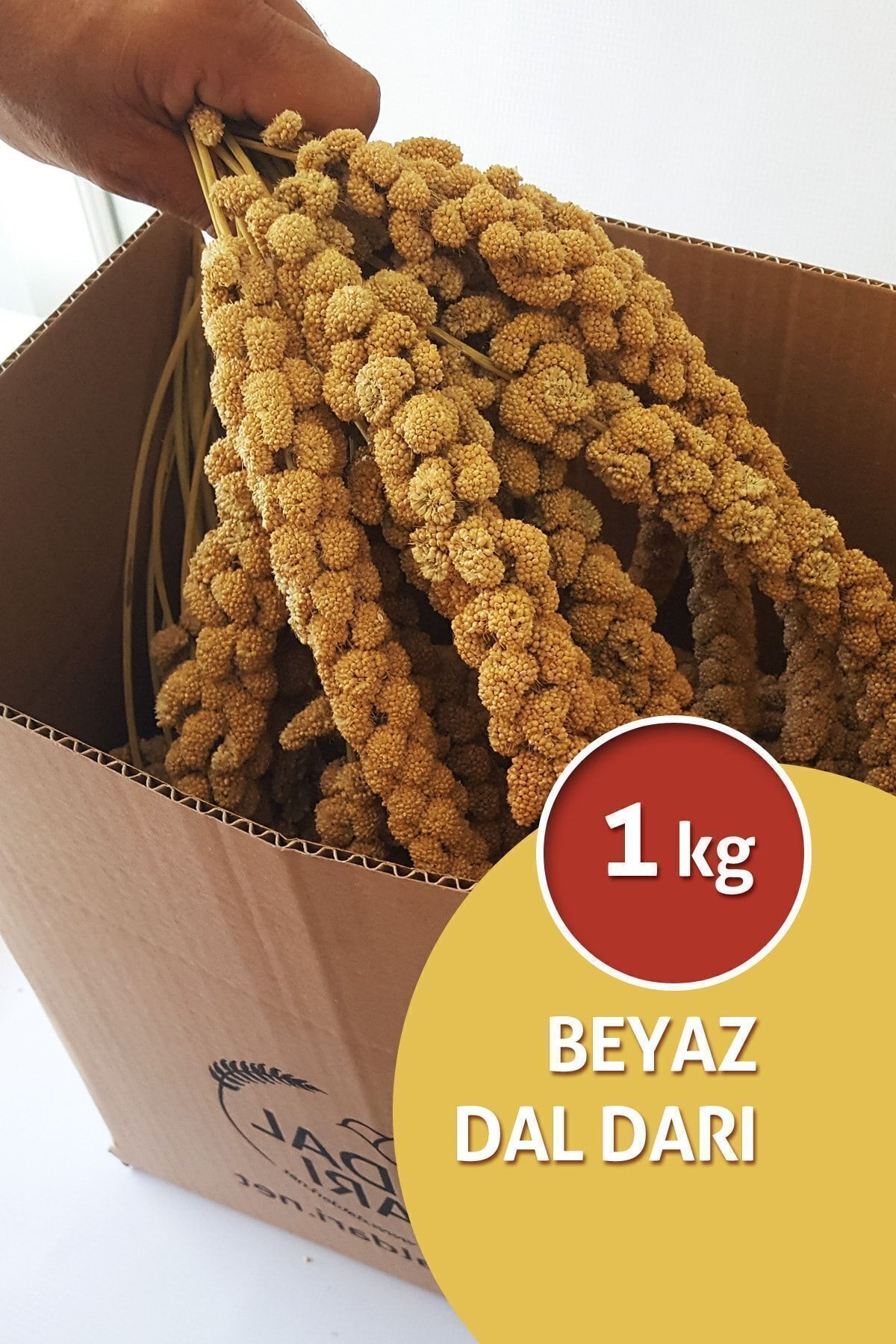 Dal Darı Net Beyaz Dal Darı 1 Kg